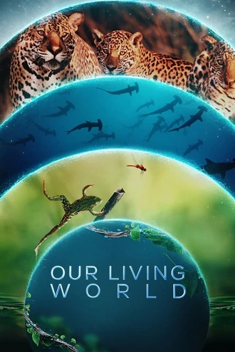 DownloadOur Living World | 2024 | Season 1 | {Hindi-English}| Web Series | 480p 720p 1080p DownloadOur Living World | 2024 | Season 1 | {Hindi-English}| Web Series | 480p 720p 1080p